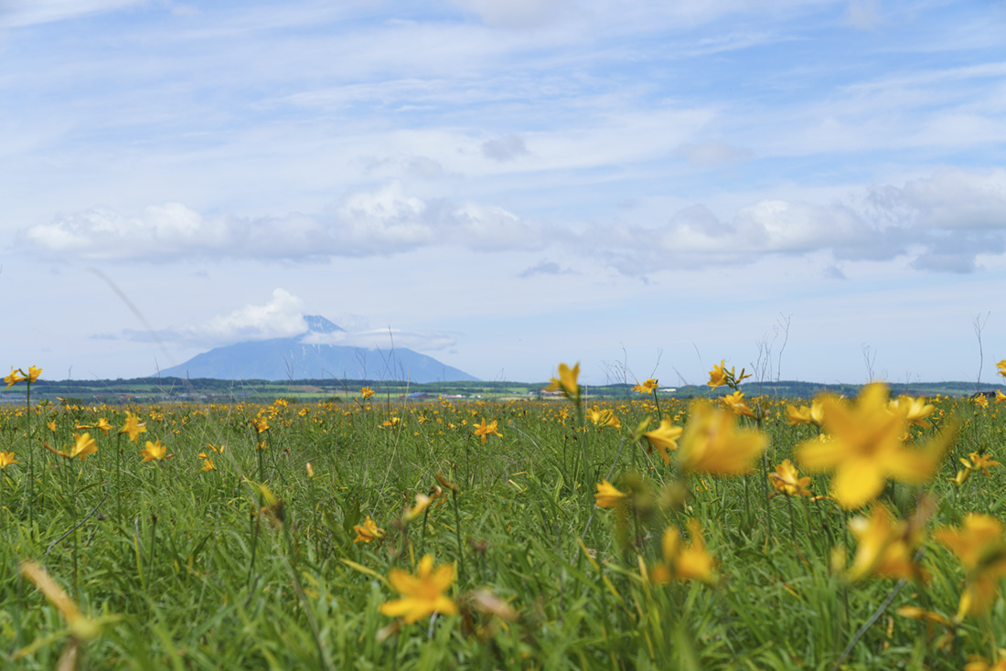 サロベツ観光の拠点に
