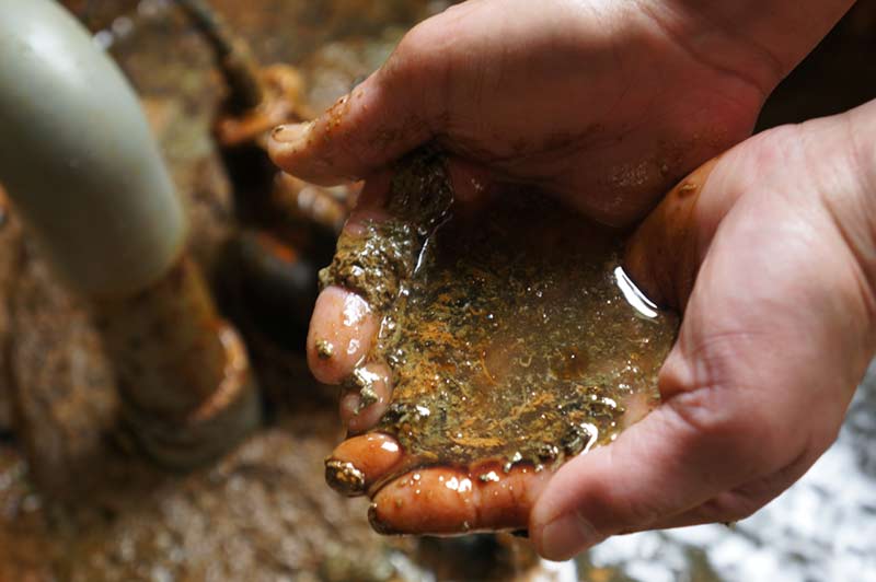 湯治向けの長期滞在プラン